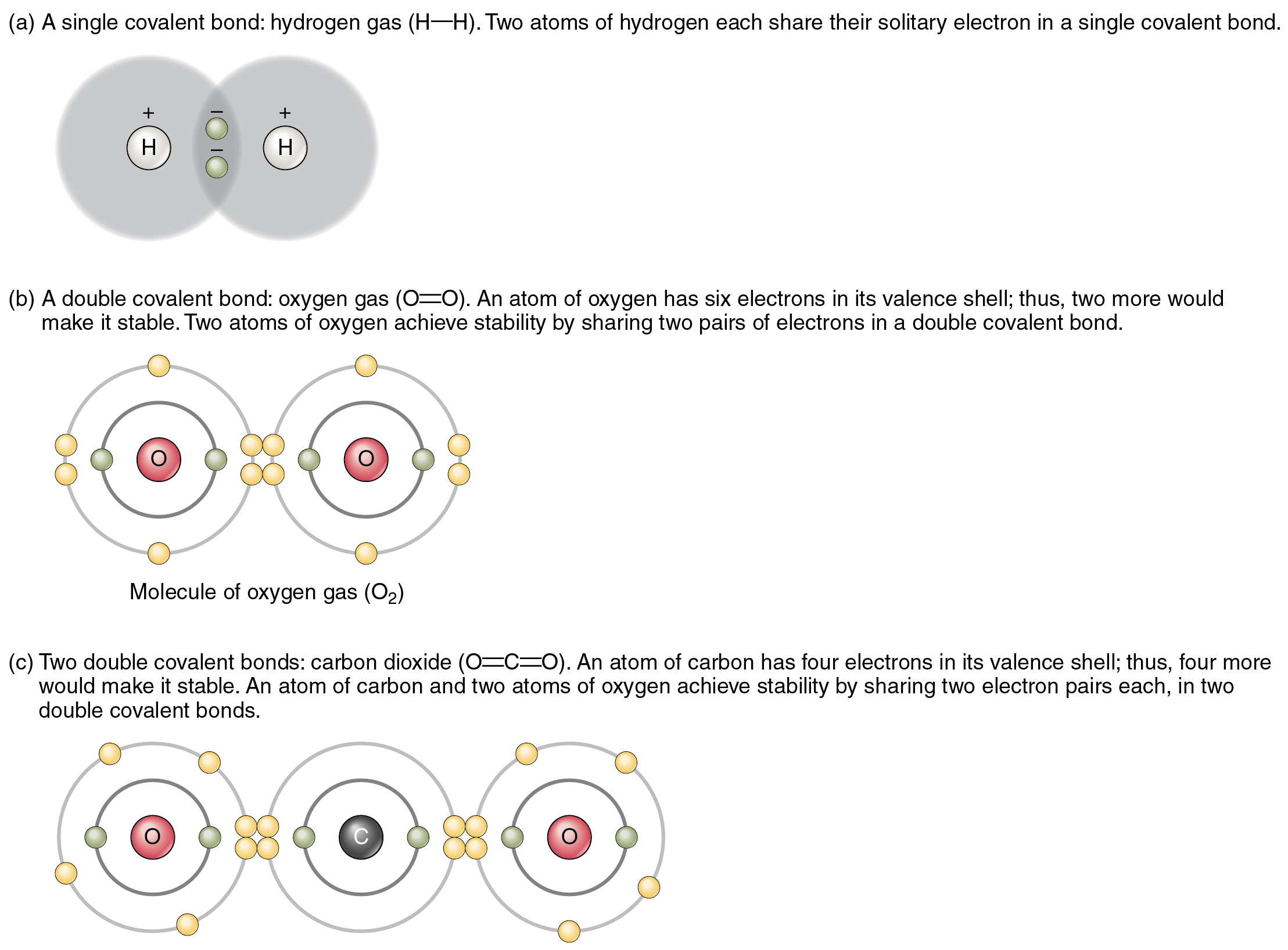 The Top Panel In This Figure Shows Two Hydrogen Atoms Sharing Two Electrons The Middle Panel